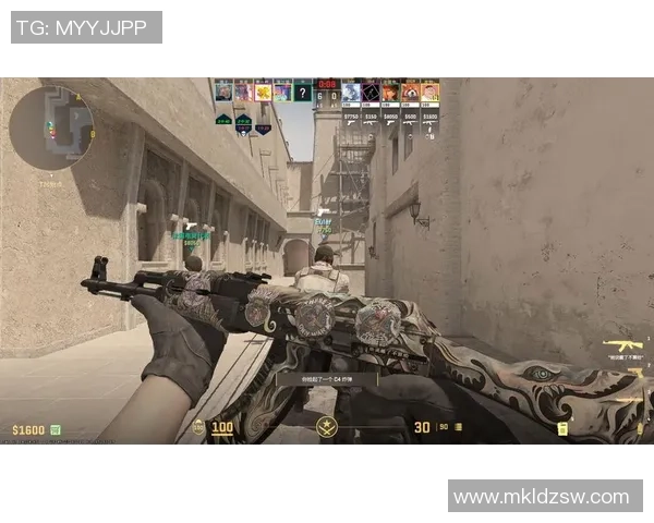 CS_GO评论：RNG的转换得失