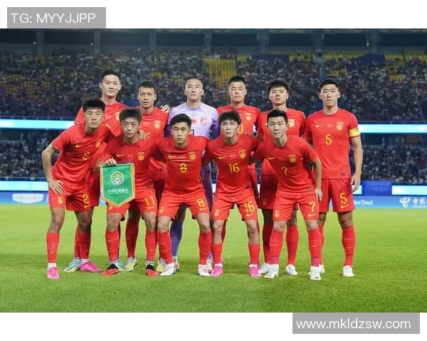 数据分析：西安足球队的团队协作表现