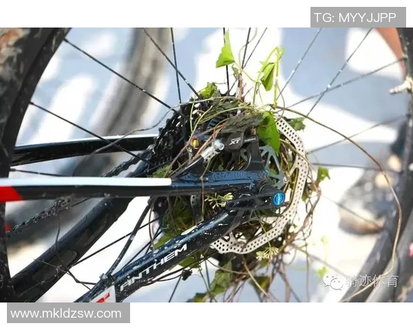 赛后复盘：重庆极限运动队 vs 深圳极限运动队的灵活性