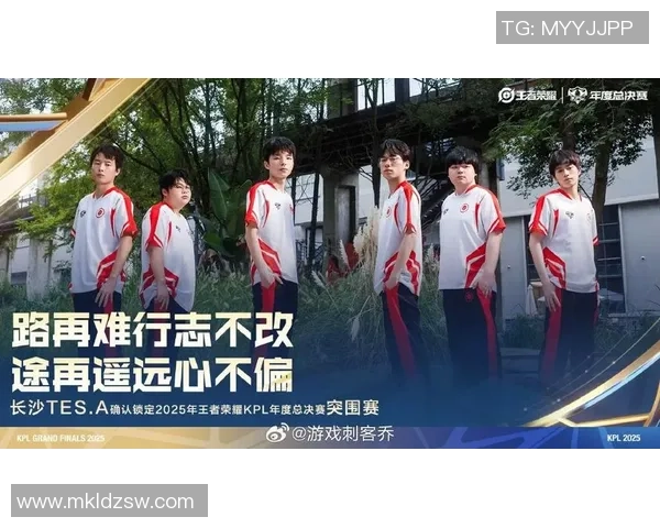 王者荣耀巨献：探秘TES的意识