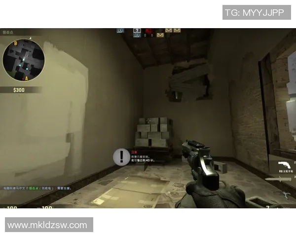 赵秀英独家:分享CS_GO心得